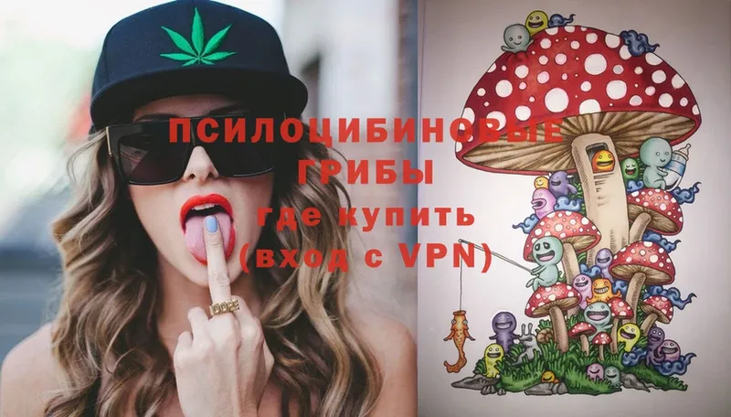 Псилоцибиновые грибы Cubensis  Дюртюли 